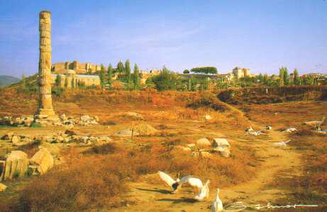 Artemidin chrm - ruiny jednho zo siedmich divov sveta
