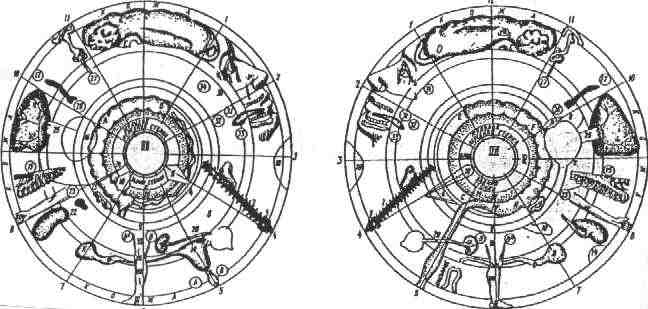 irismapa.jpg (33119 bytes)